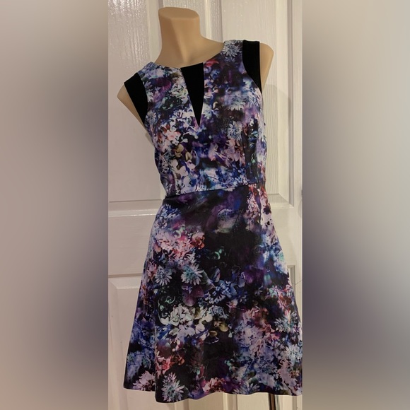 SOLD LOOP Portman’s Dress Fit and Flare - Picture 2 of 9